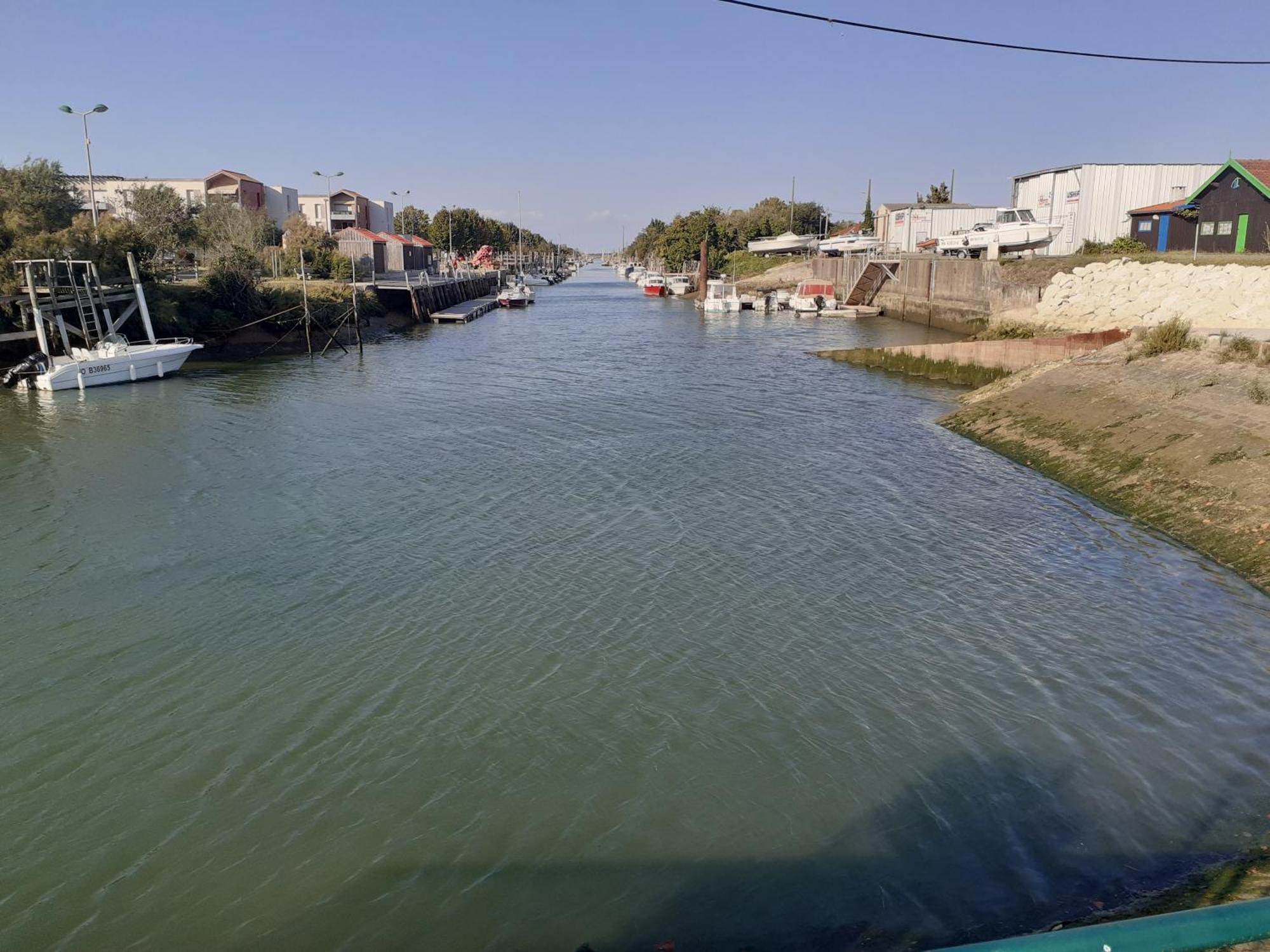 Chez Mariana Daire Arvert Dış mekan fotoğraf